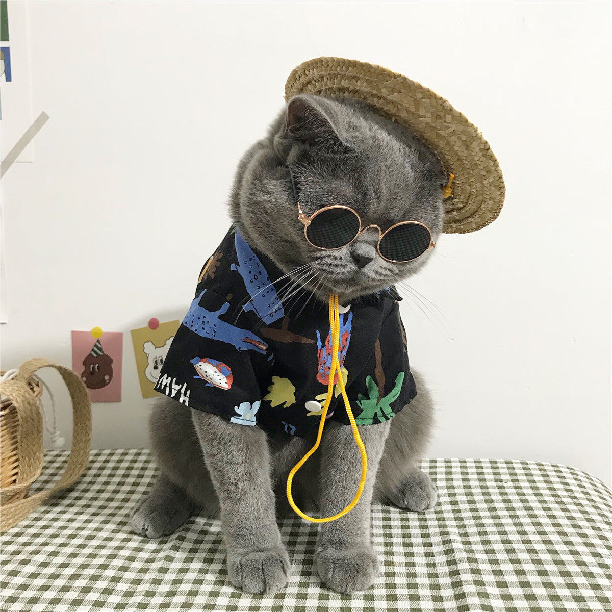 Ropa de moda para Gato Cat clothes