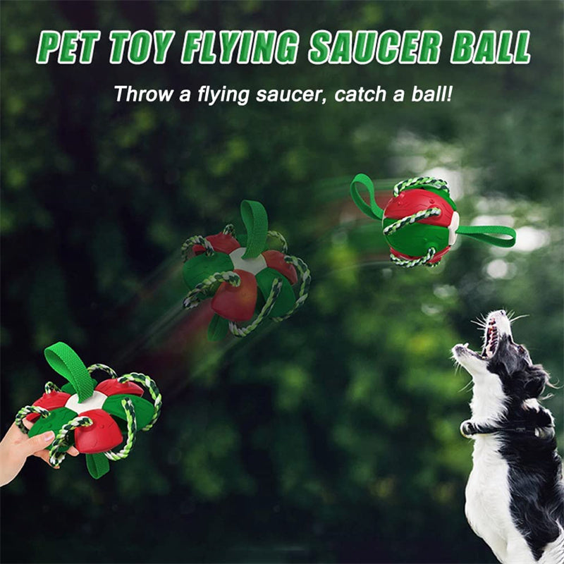 Interactive Dog Football Soccer Ball With Tabs Inflated Training Toy Outdoor Border Collie Balls Pet Products