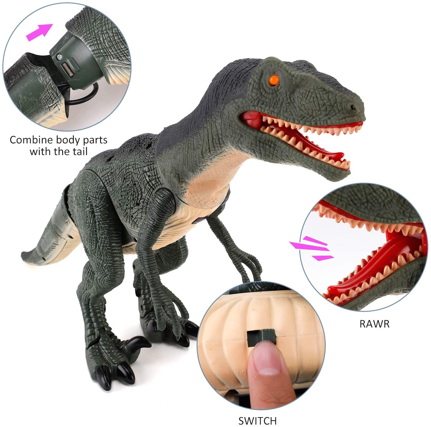 Dinosaurio que camina con control remoto R C con cabeza temblorosa, ojos y sonidos iluminados, Velociraptor, regalo para niños.